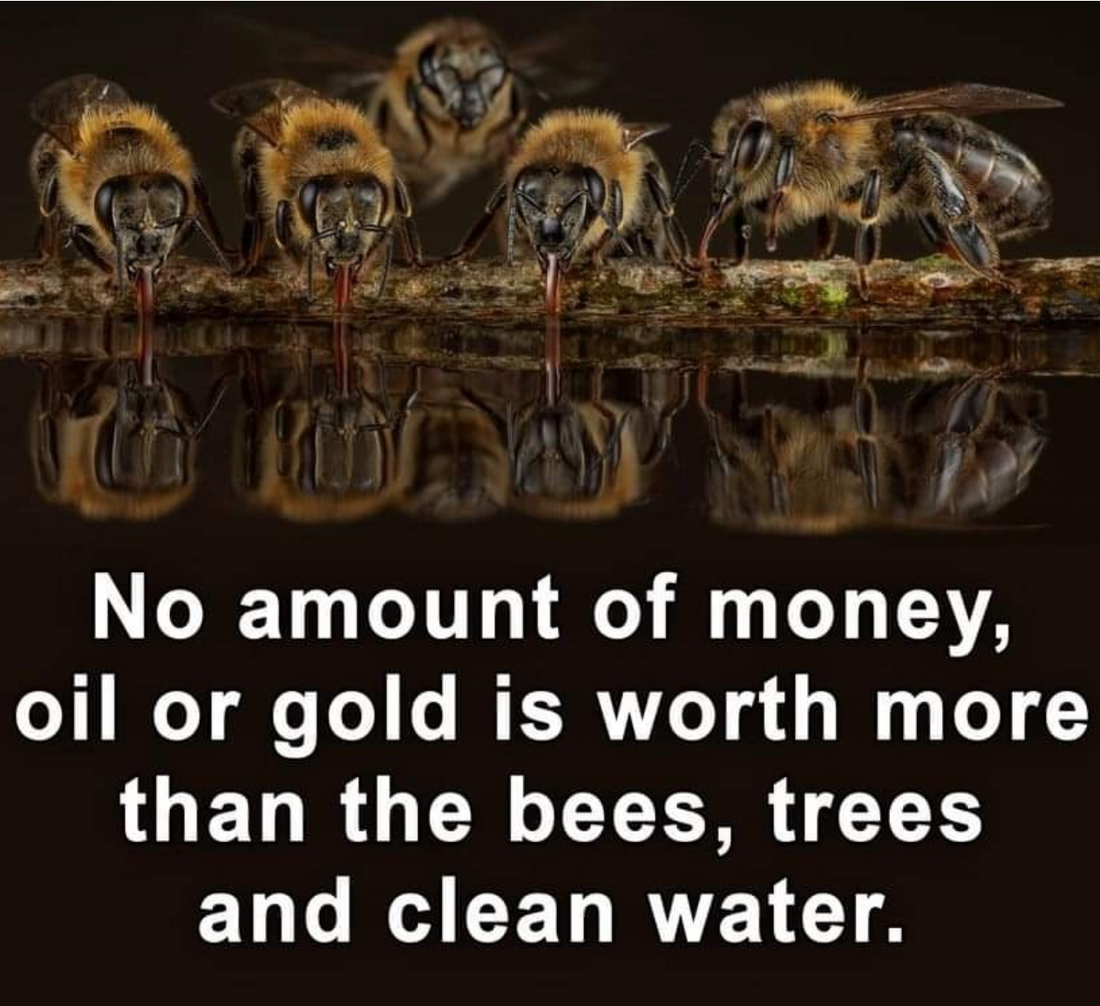 True Fact About Honey!